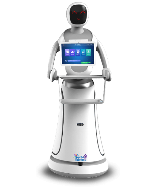 Waitress - Expert Hub Robotics-1